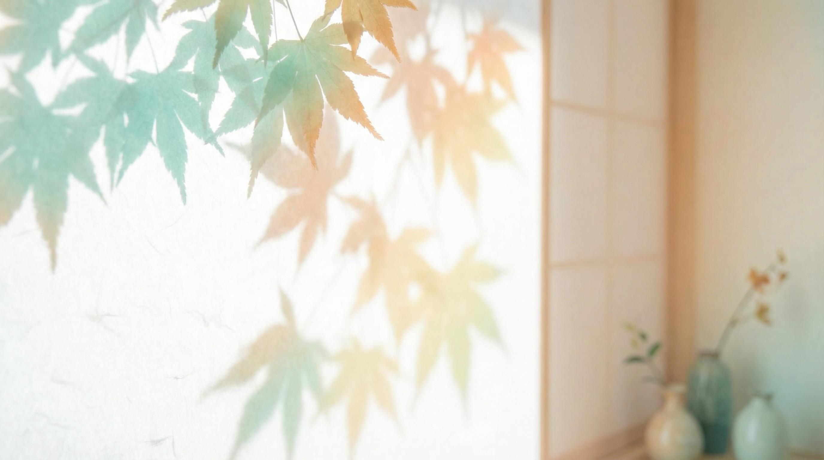 木漏れ日のある静かな空間